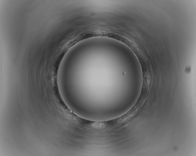 X0000091590762200709051121