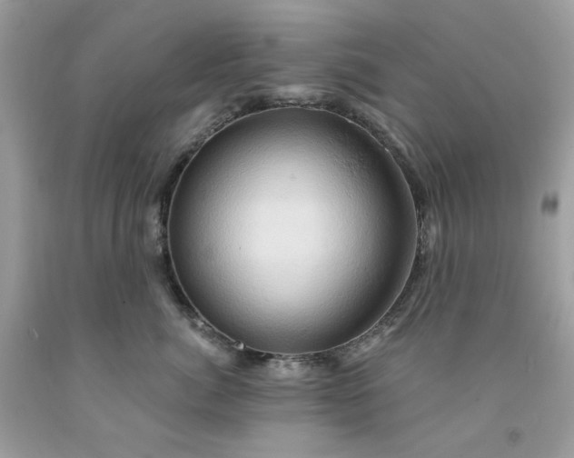 X0000091590764200709051121