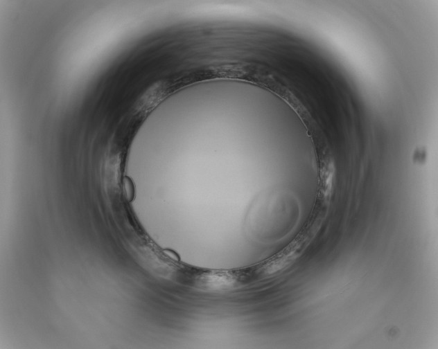 X0000091590765200709051121