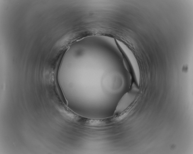 X0000091590766200709051121