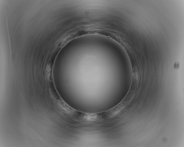X0000091590767200709051121
