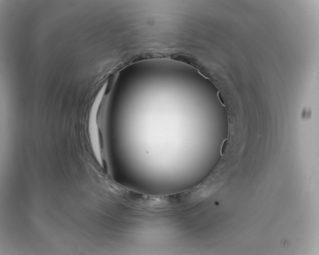 X0000091590768200709051121