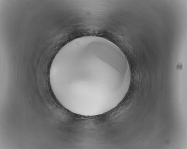 X0000091590769200709051121