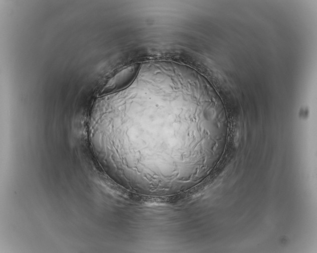 X0000091590770200709051121