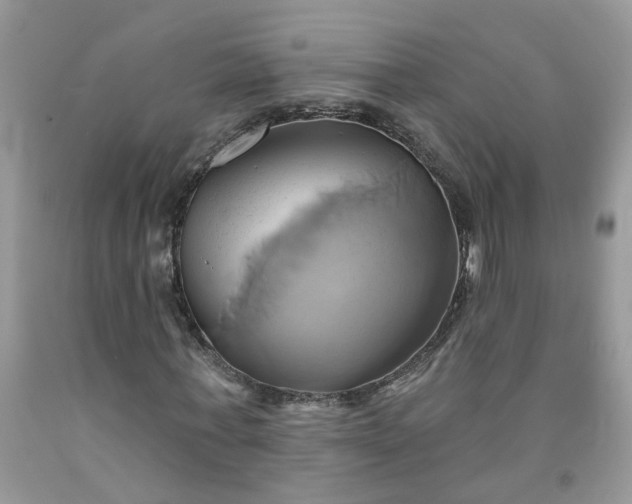 X0000091590771200709051121