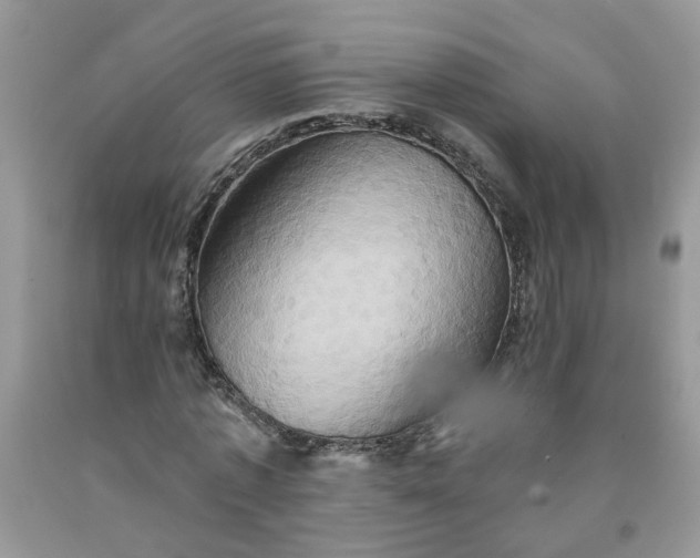 X0000091590773200709051121