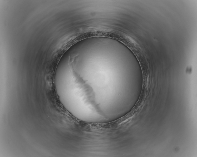 X0000091590774200709051121