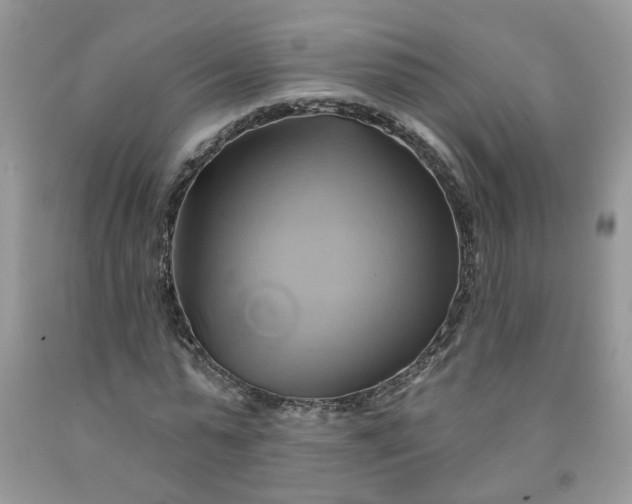 X0000091590775200709051121