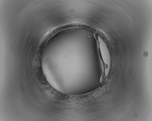 X0000091590776200709051121