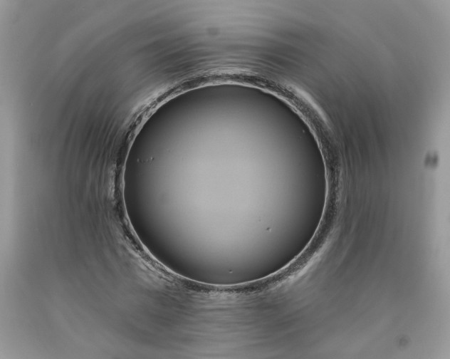 X0000091590777200709051121