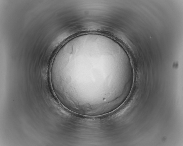 X0000091590778200709051121