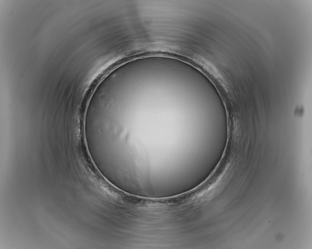 X0000091590782200709051121