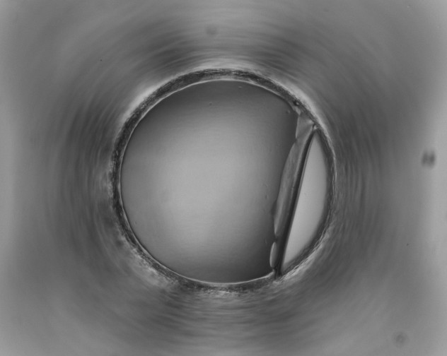 X0000091590783200709051121