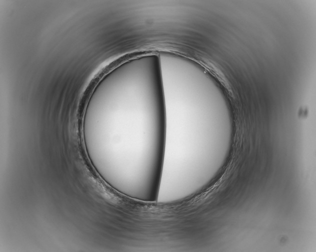 X0000091590784200709051121