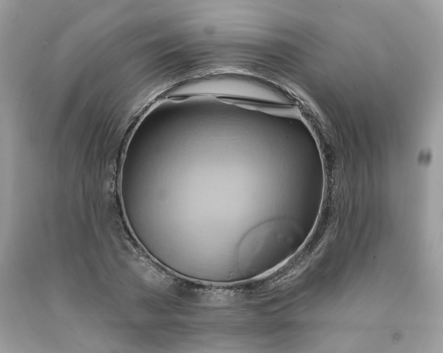 X0000091590785200709051120
