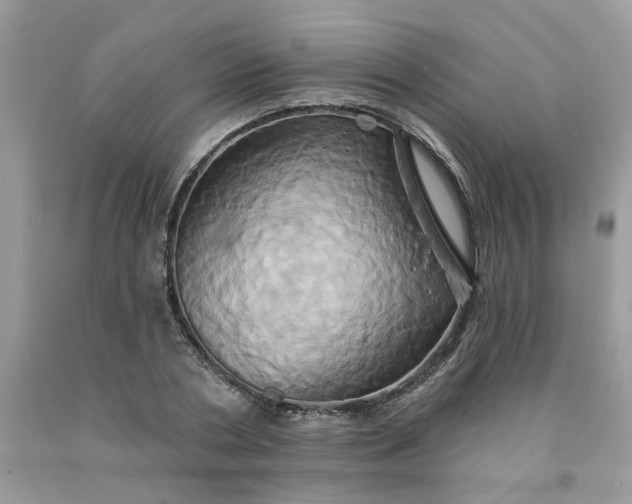 X0000091590786200709051120
