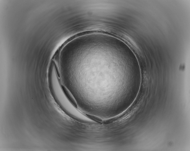X0000091590788200709051120