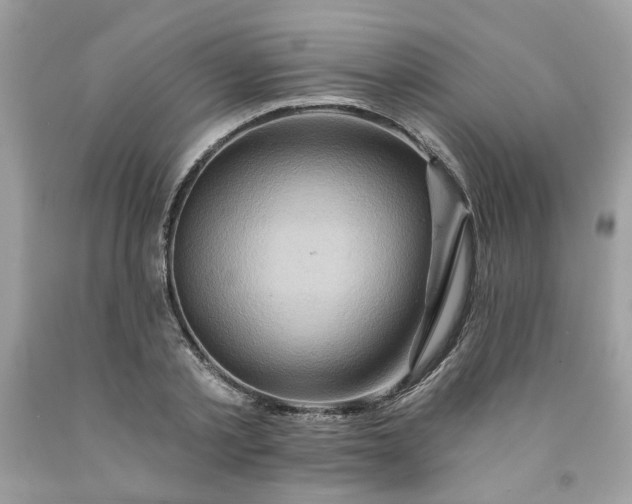X0000091590789200709051120