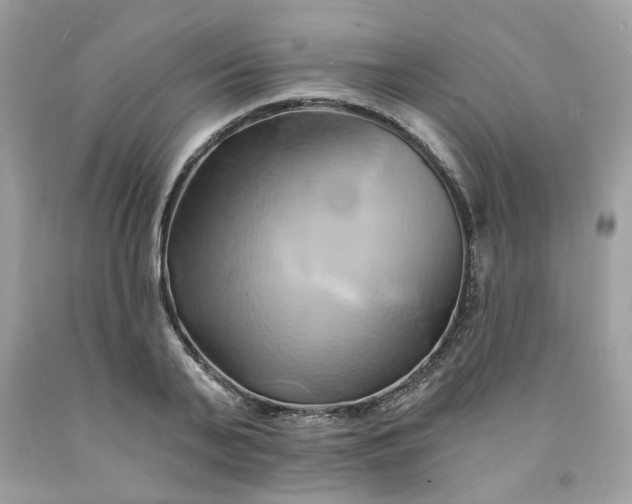 X0000091590791200709051120