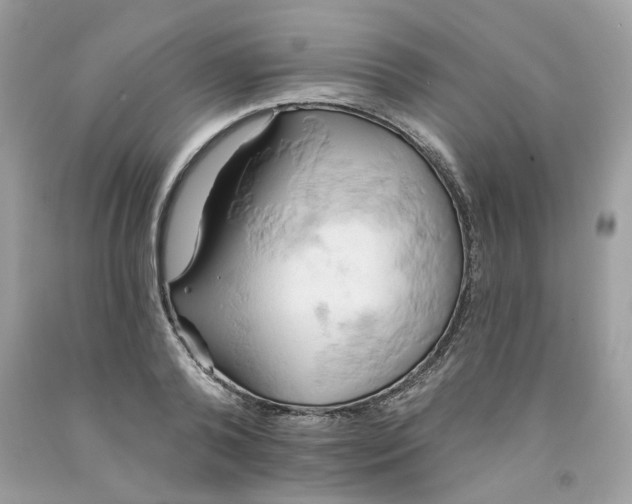 X0000091590792200709051120