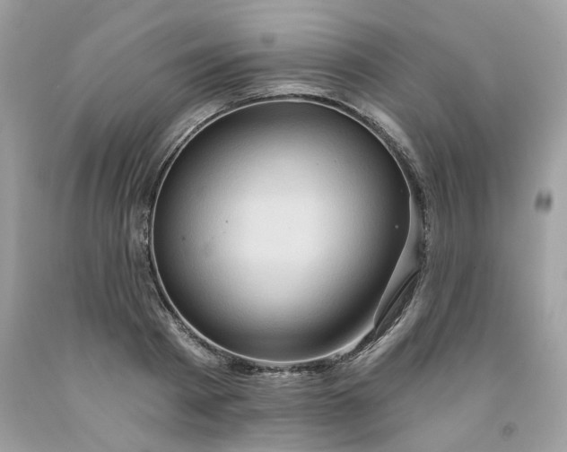 X0000091590793200709051120