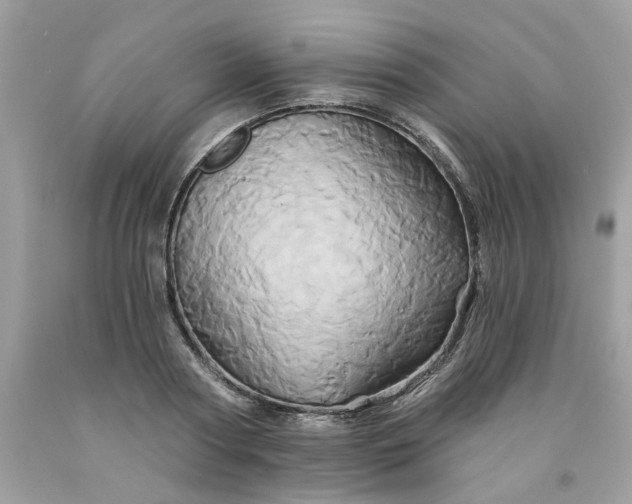 X0000091590794200709051120