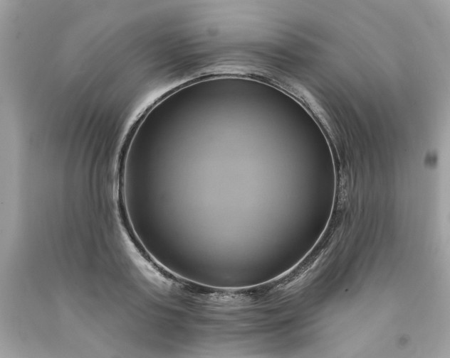 X0000091590795200709051120