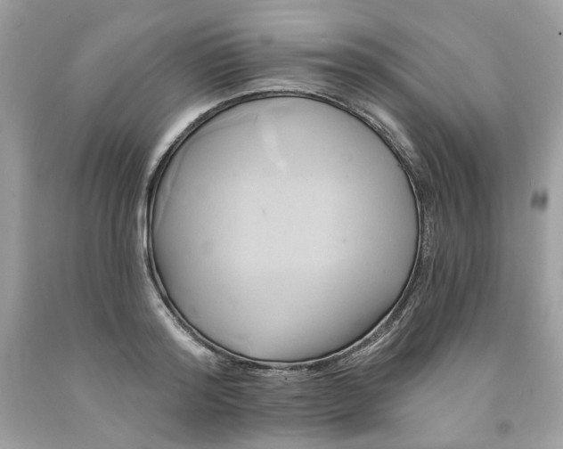 X0000091590796200709051120