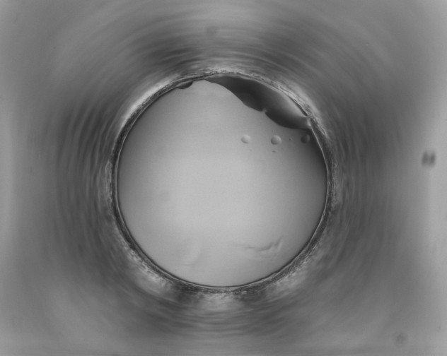 X0000091590798200709051120