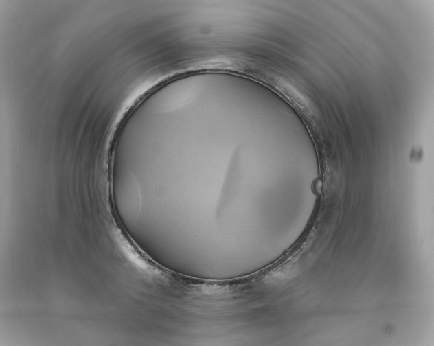 X0000091590800200709051120