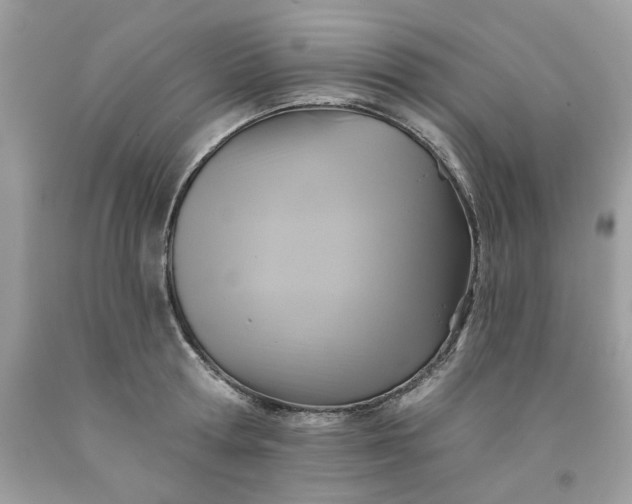 X0000091590802200709051120