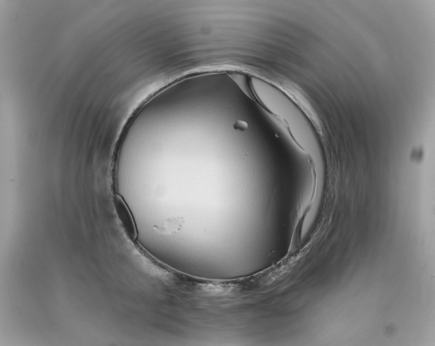 X0000091590805200709051120