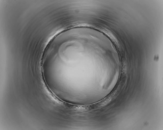 X0000091590806200709051120