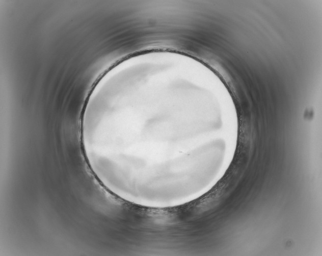X0000091590807200709051120