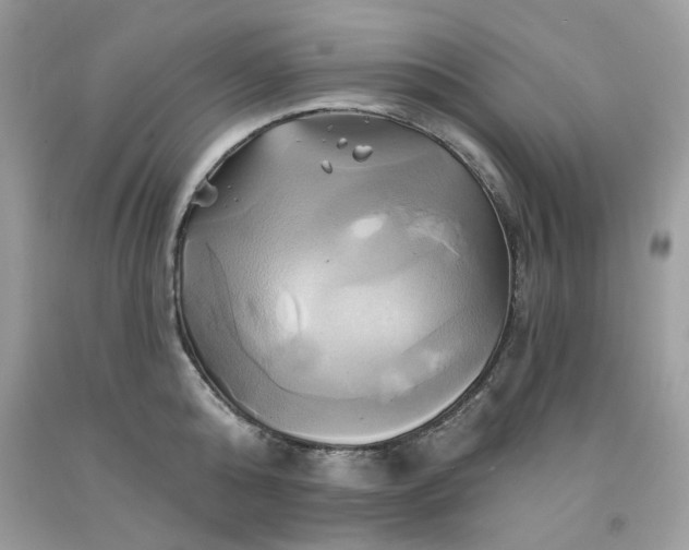 X0000091590808200709051120