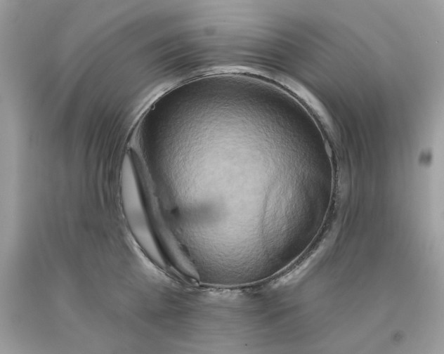 X0000091590809200709051120