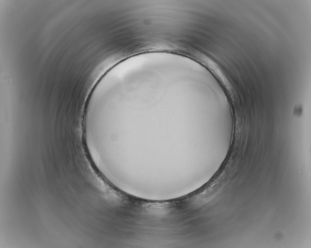 X0000091590810200709051120