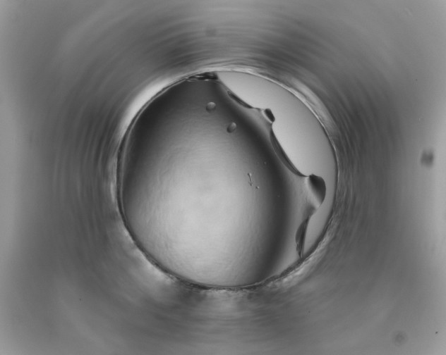 X0000091590812200709051120