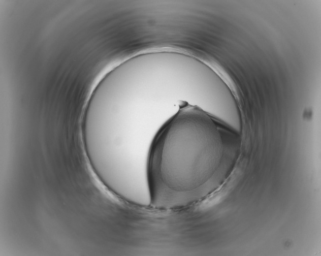 X0000091590813200709051120