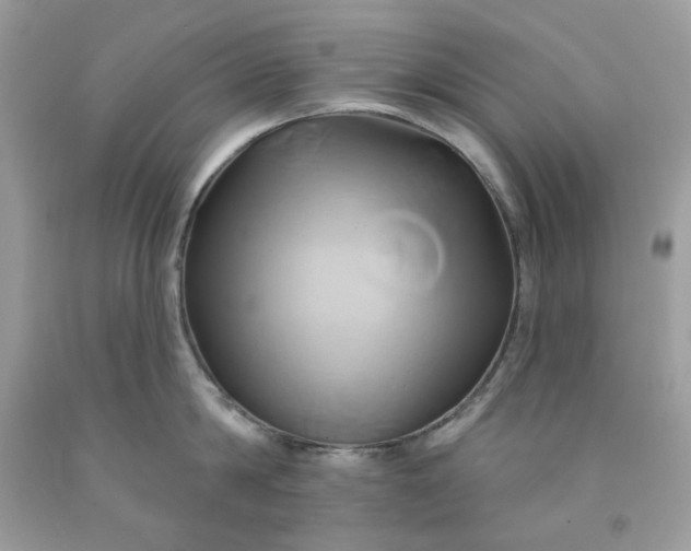 X0000091590814200709051120