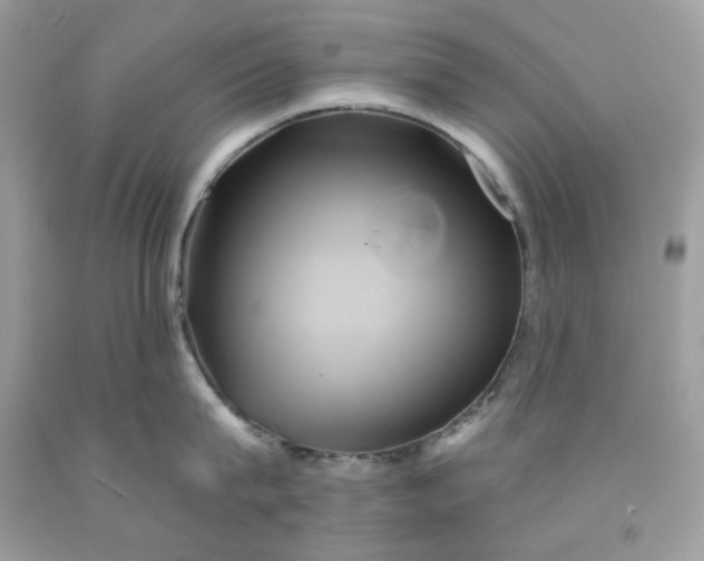 X0000091590815200709051120