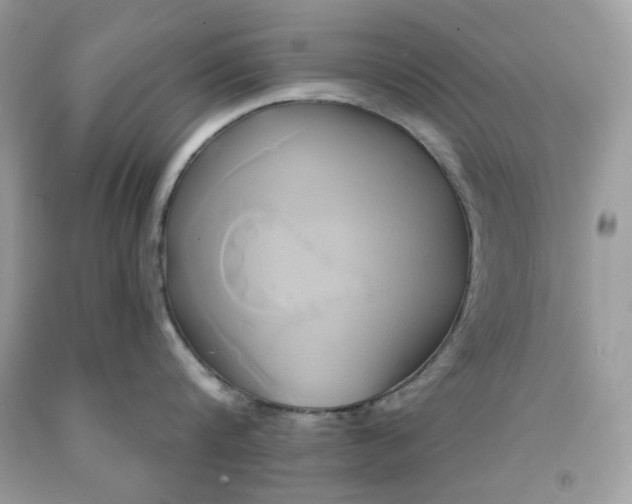 X0000091590816200709051120