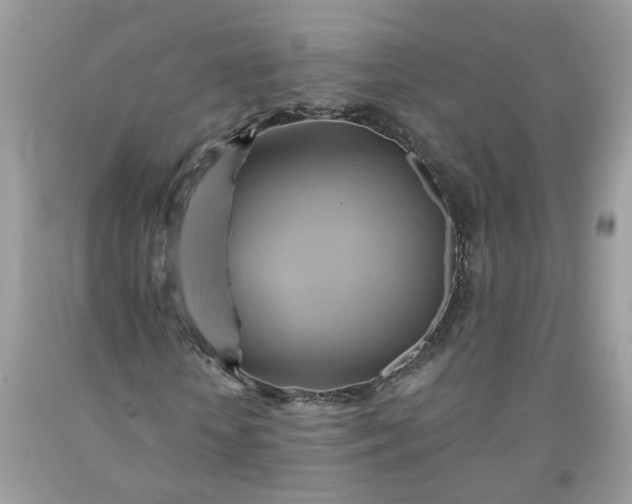 X0000091590818200709051120