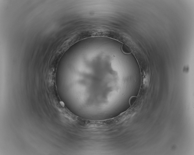 X0000091590819200709051120