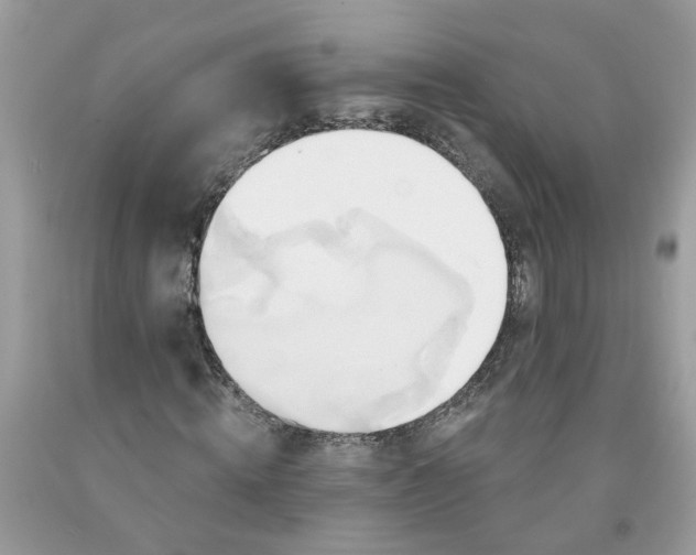 X0000091590820200709051120