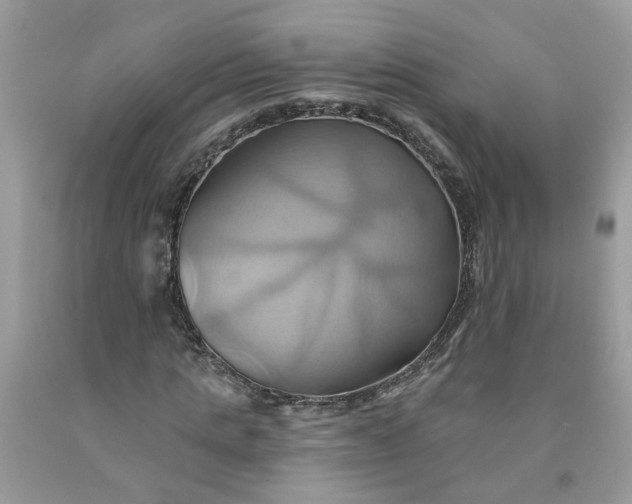 X0000091590821200709051120