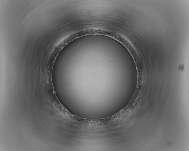 X0000091590823200709051120