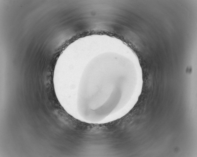 X0000091590824200709051120