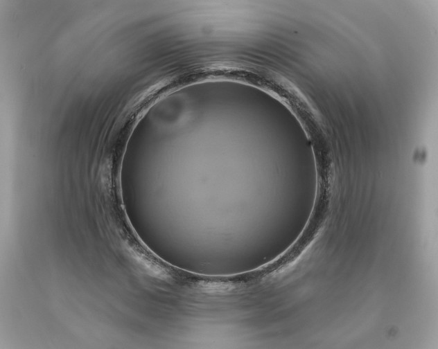 X0000091590825200709051120