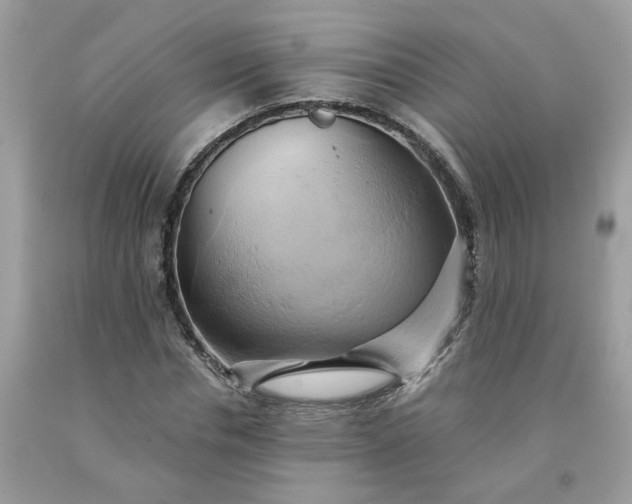 X0000091590826200709051120
